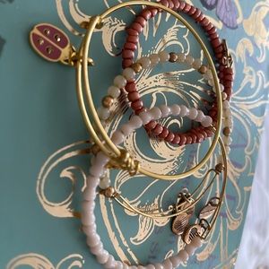 Alex and ani ladybug set